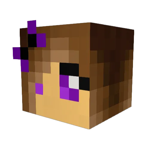 Amc192 Minecraft avatar head, 3D render