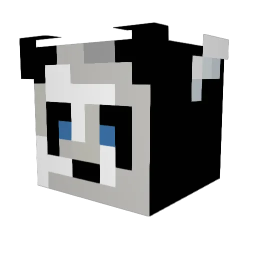 Amcr0s Minecraft avatar head, 3D render