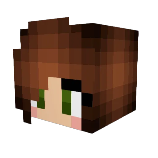 Ame1724 Minecraft avatar head, 3D render