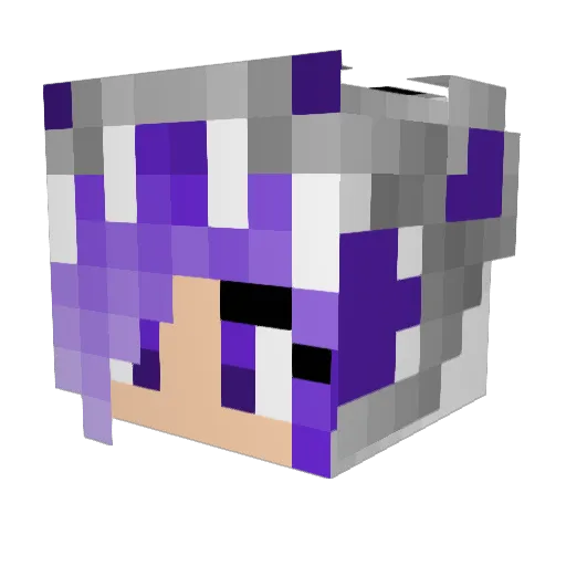 AmeAmes Minecraft avatar head, 3D render