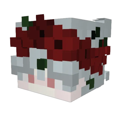 AmeGames1 Minecraft avatar head, 3D render