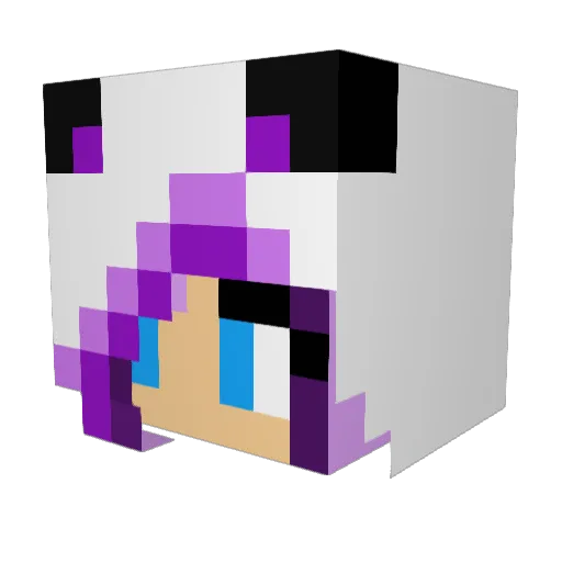 Ame_Wisp Minecraft avatar head, 3D render