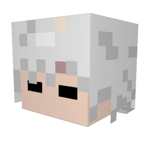 Ame_momo Minecraft avatar head, 3D render