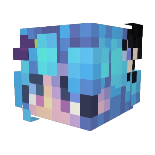 Amedawgz Minecraft avatar head, 3D render