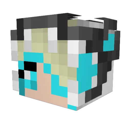 Ameha90 Minecraft avatar head, 3D render