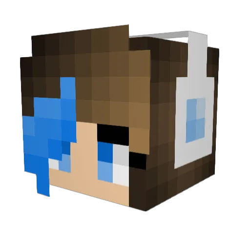 Amel9 Minecraft avatar head, 3D render