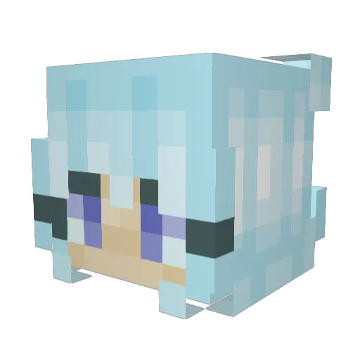 AmelDefteriClose Minecraft avatar head, 3D render