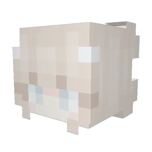 AmeliaEmma Minecraft avatar head, 3D render