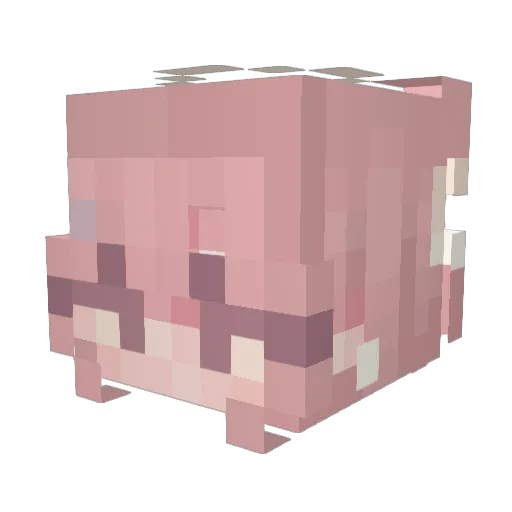 Amelia_2457 Minecraft avatar head, 3D render