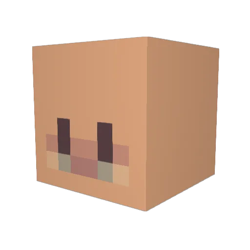 Ameliab100 Minecraft avatar head, 3D render
