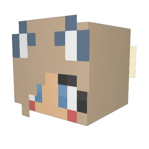 AmelieCat42 Minecraft avatar head, 3D render