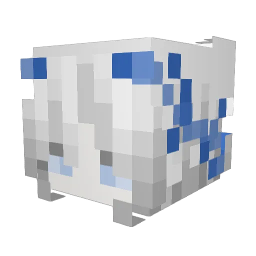 Ameliodes Minecraft avatar head, 3D render