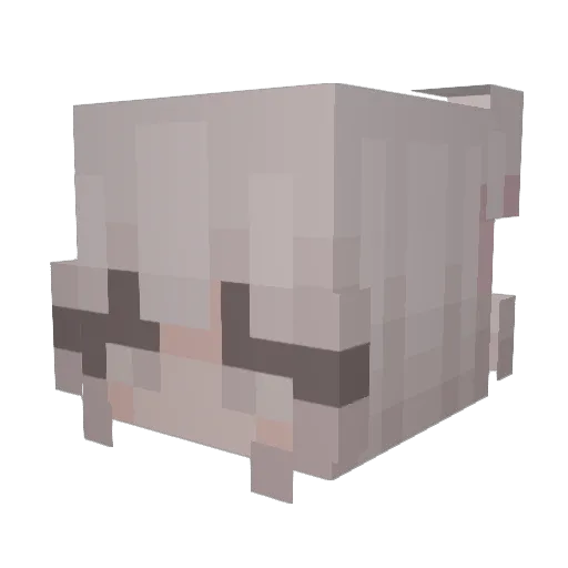Ameliq_ Minecraft avatar head, 3D render