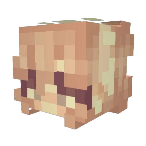 Amelita Minecraft avatar head, 3D render