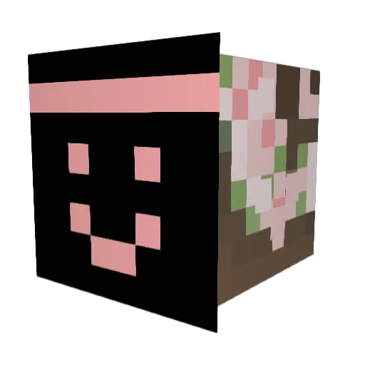 Ameluux Minecraft avatar head, 3D render