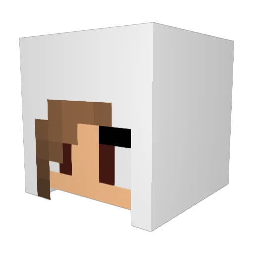 Amelynn Minecraft avatar head, 3D render