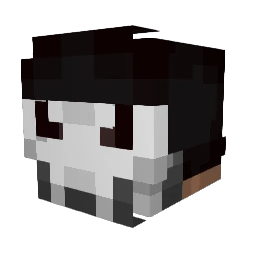 AmenaBoi Minecraft avatar head, 3D render