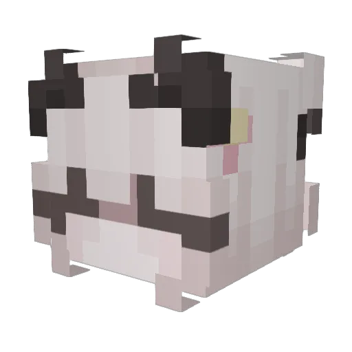 Amerah_ Minecraft avatar head, 3D render