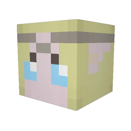 Ameretet Minecraft avatar head, 3D render