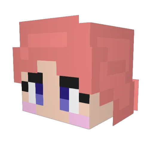 Ameri Minecraft avatar head, 3D render