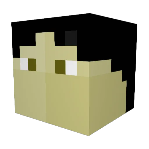 AmericAsian Minecraft avatar head, 3D render