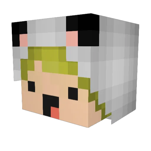 AmericanAF Minecraft avatar head, 3D render