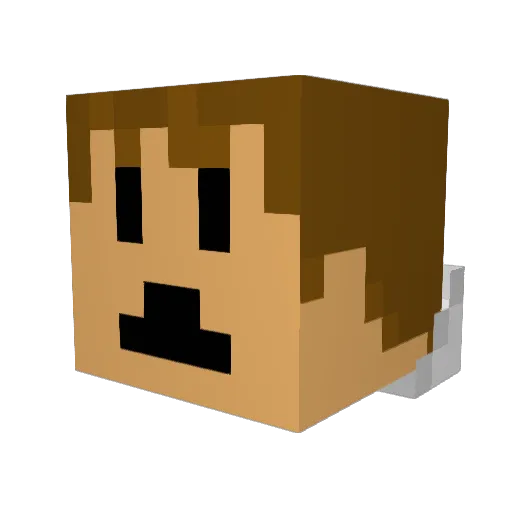 AmericanAce98 Minecraft avatar head, 3D render