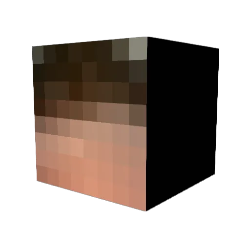 AmericanCharm Minecraft avatar head, 3D render
