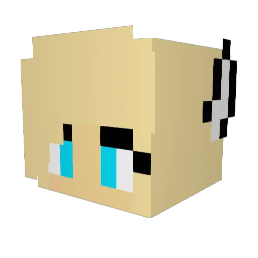 AmericanCheeseSP Minecraft avatar head, 3D render