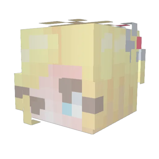 AmericanDane76 Minecraft avatar head, 3D render