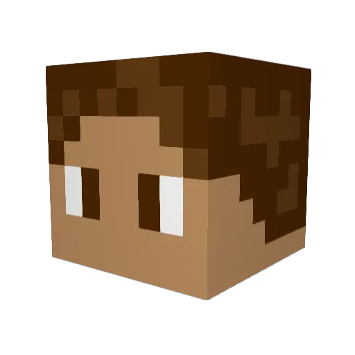 AmericanDimingus Minecraft avatar head, 3D render