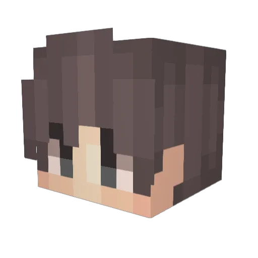 AmericanEBoy Minecraft avatar head, 3D render