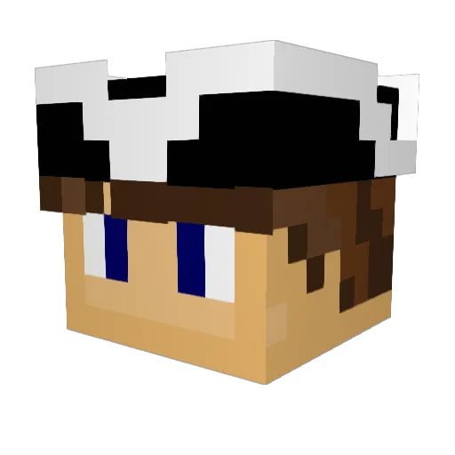 AmericanEagle737 Minecraft avatar head, 3D render