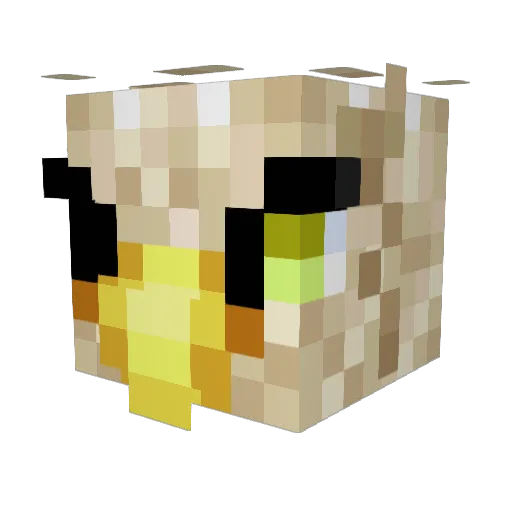 AmericanEagle Minecraft avatar head, 3D render