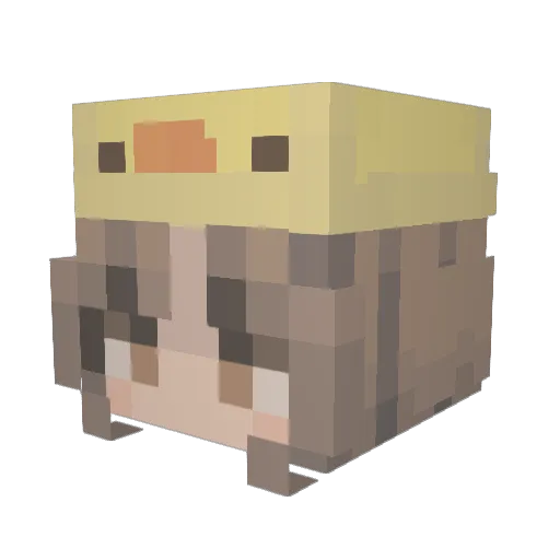 AmericanF Minecraft avatar head, 3D render