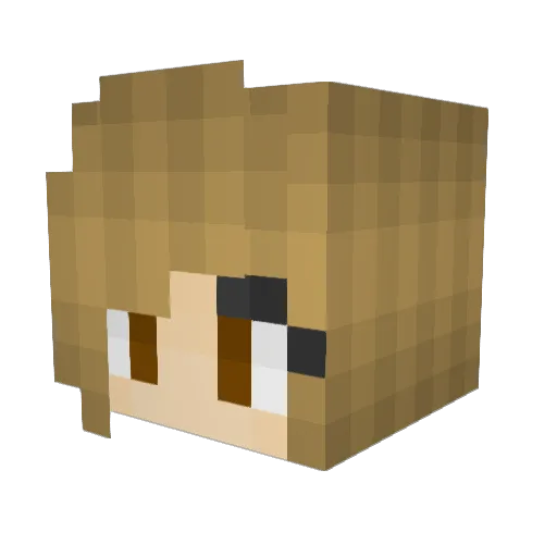 AmericanGirl08 Minecraft avatar head, 3D render