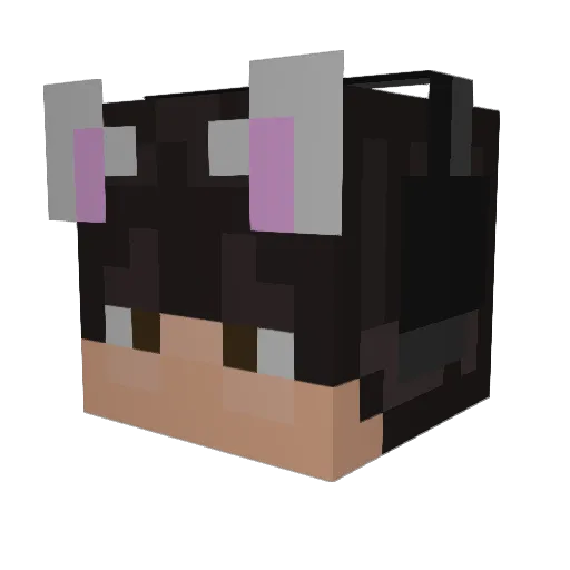 AmericanV1per Minecraft avatar head, 3D render
