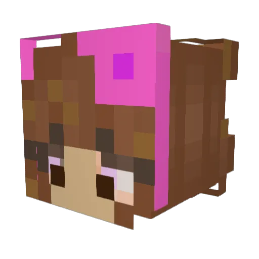 Amerigirl10 Minecraft avatar head, 3D render
