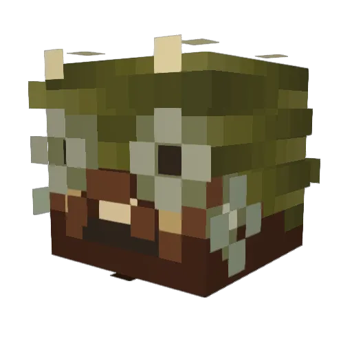 Amerw420 Minecraft avatar head, 3D render