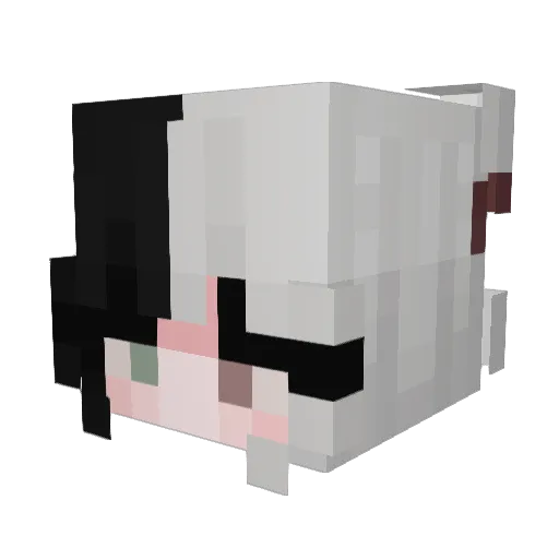 Amesky Minecraft avatar head, 3D render
