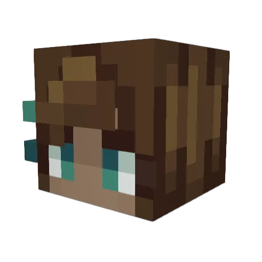 Amethyst241 Minecraft avatar head, 3D render