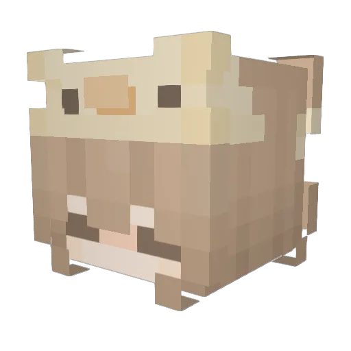 AmethystAxo Minecraft avatar head, 3D render