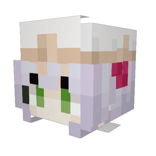 AmethystDawn Minecraft avatar head, 3D render