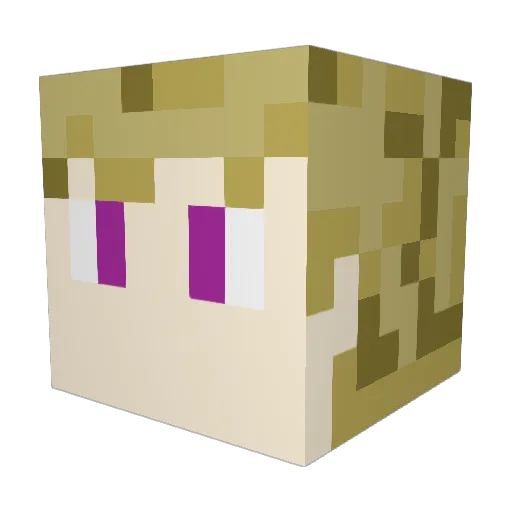 AmethystIsDaBest Minecraft avatar head, 3D render