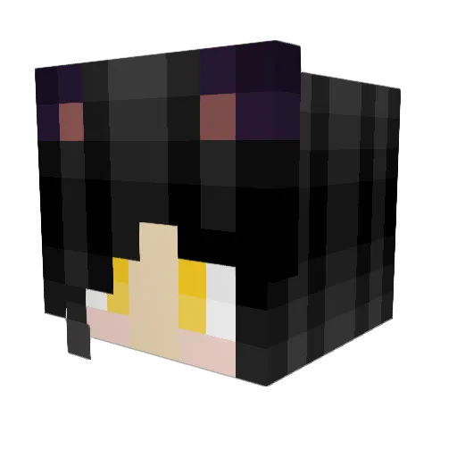 AmethystQuill Minecraft avatar head, 3D render