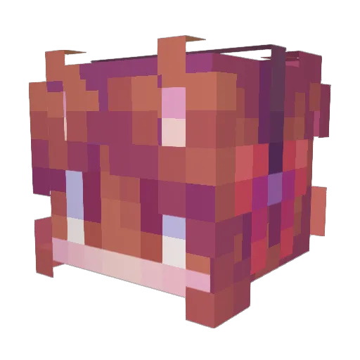 AmethystRose615 Minecraft avatar head, 3D render