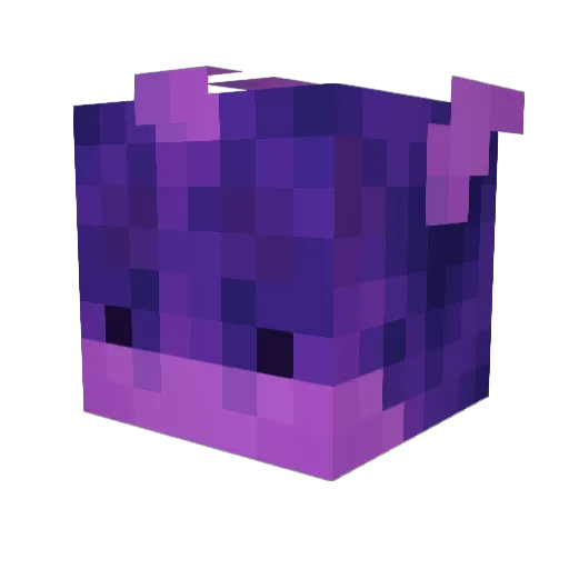 Amethyst_Dragon1 Minecraft avatar head, 3D render