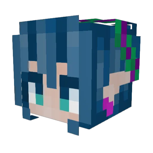 Amethyst_Shores Minecraft avatar head, 3D render