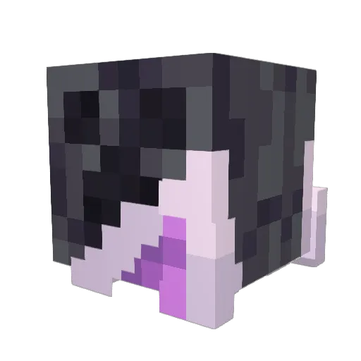 Amethystborne Minecraft avatar head, 3D render