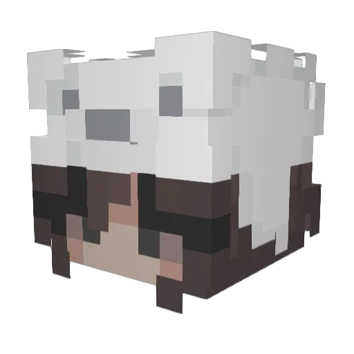 AmexAG123 Minecraft avatar head, 3D render